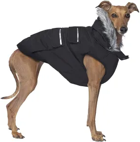 Canada Pooch Everest Explorer Size 14 Black Fleece Lined Insulated Dog Coat